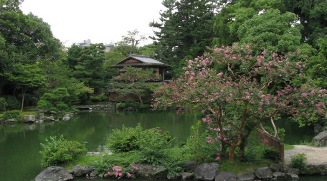 Japanilainen puutarha osa 1