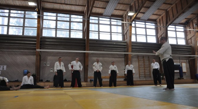 Fiiliksiä vuoden 2015 dan-leiriltä