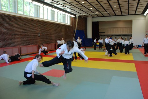 Tenkain osalta keskityttiin etenkin väistämiseen ja kombinaatioiden kautta haettiin jatkuvuutta liikkeelle.