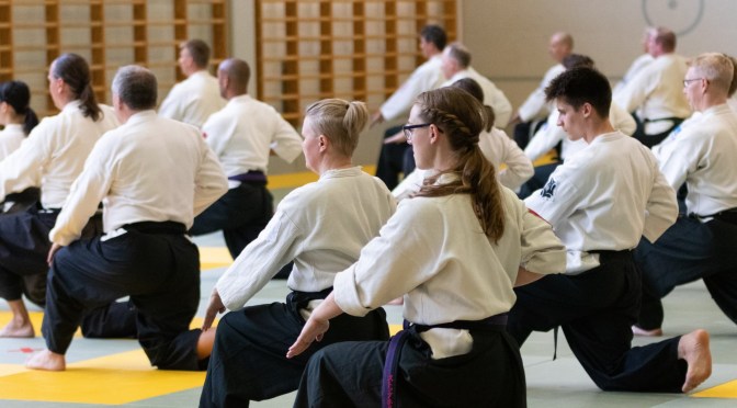 Suomen Taido Dan-yhdistyksen ajatuksia vuoden alkuun daneille ja vähän muillekin