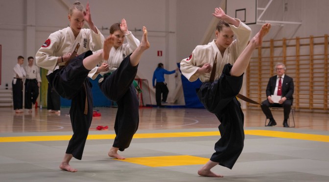 Kuva joukkueliikesarjasta (dantai hokei) Taidon SM-kisoissa 2026